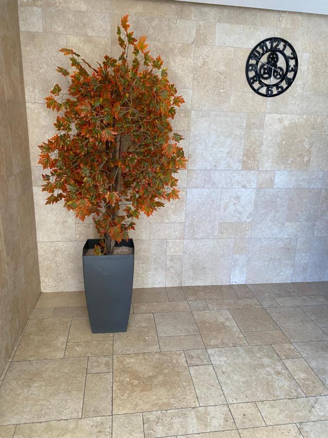 Mobersham'S House In Acre Apartment Bagian luar foto